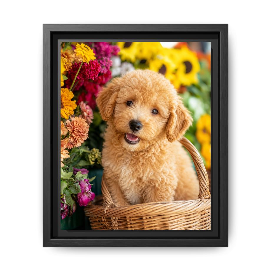 Framed 8x10 Black front