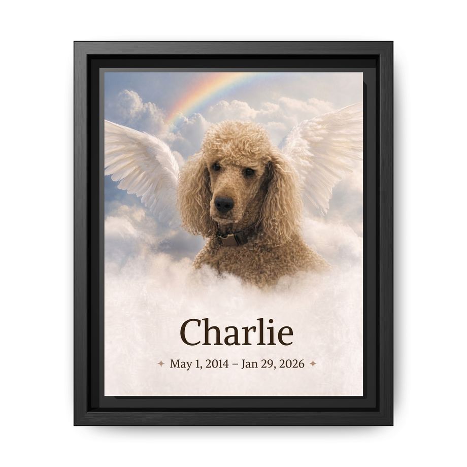 Framed 8x10 Black front