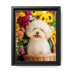 Framed 8x10 Black front