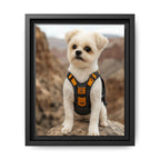 Framed 8x10 Black front