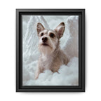Framed 8x10 Black front