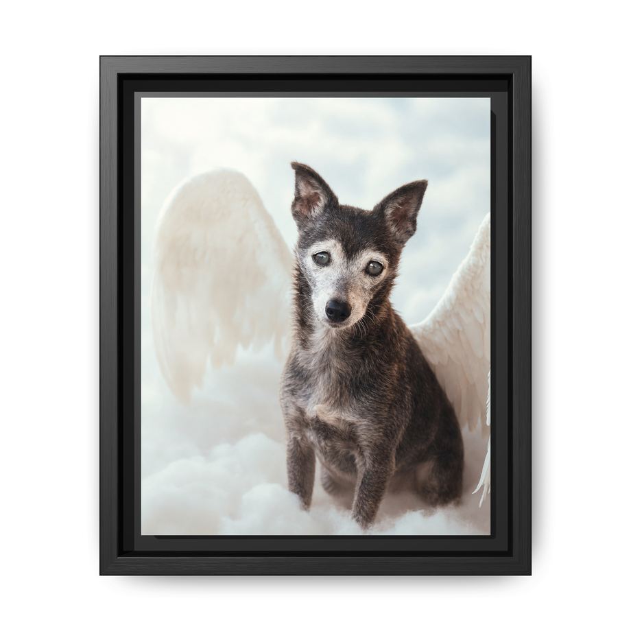 Framed 8x10 Black front