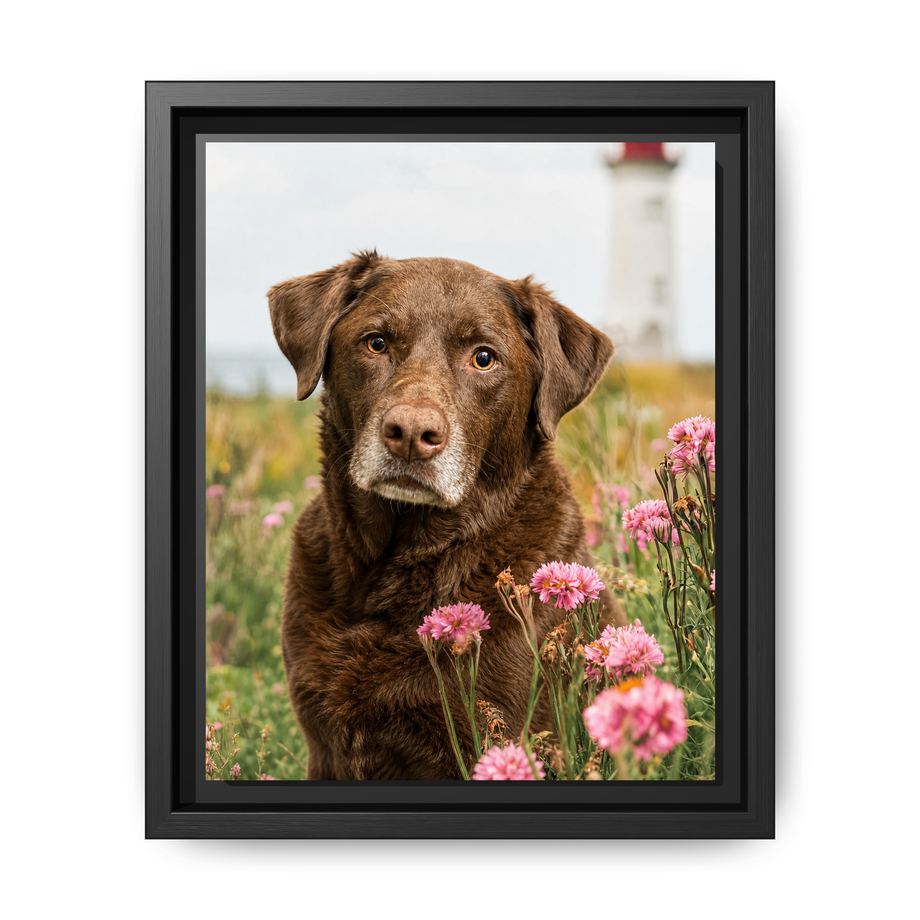 Framed 8x10 Black front