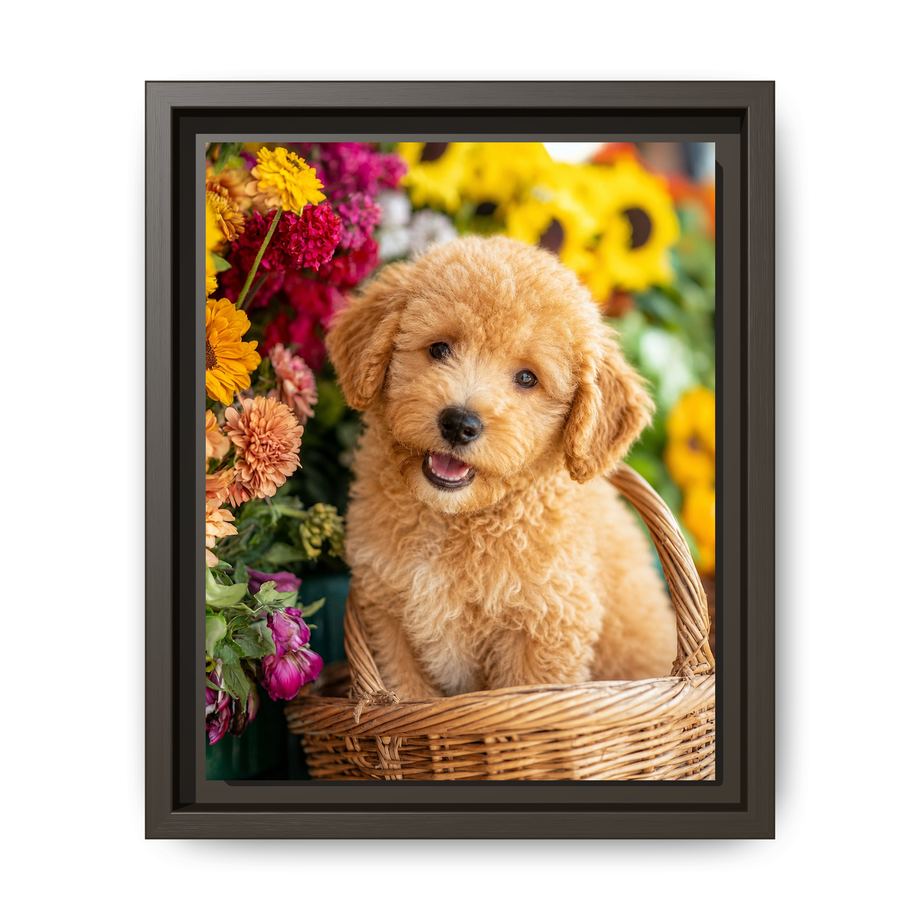Framed 8x10 Espresso front