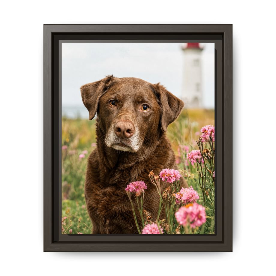 Framed 8x10 Espresso front