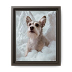 Framed 8x10 Espresso front