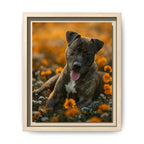 Framed 8x10 Natural front