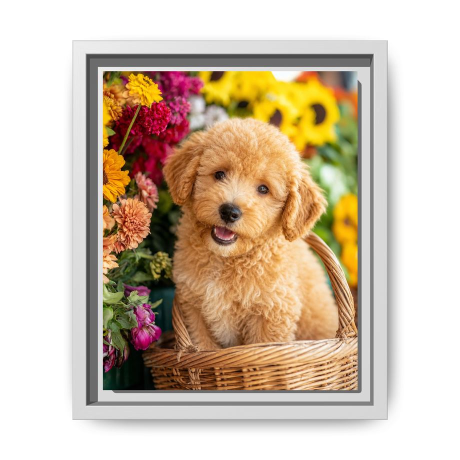 Framed 8x10 White front