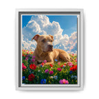 Framed 8x10 White front