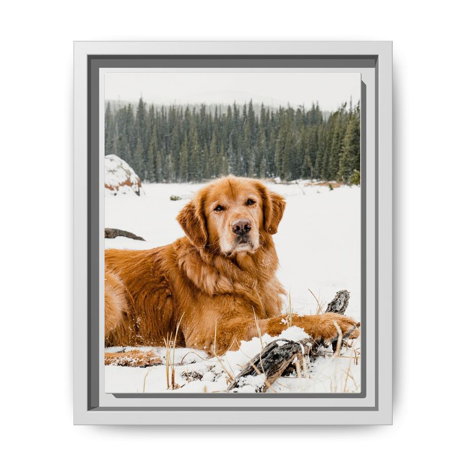 Framed 8x10 White front