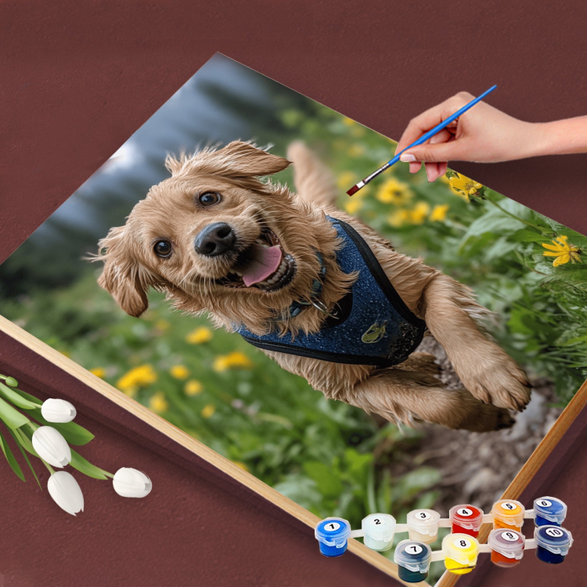 Mountain Meadow Dash