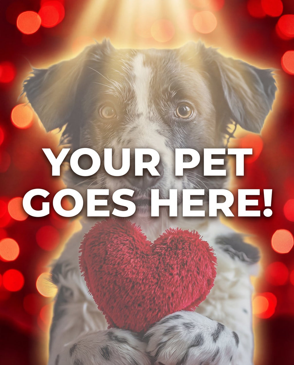 Your Pet Goes Here