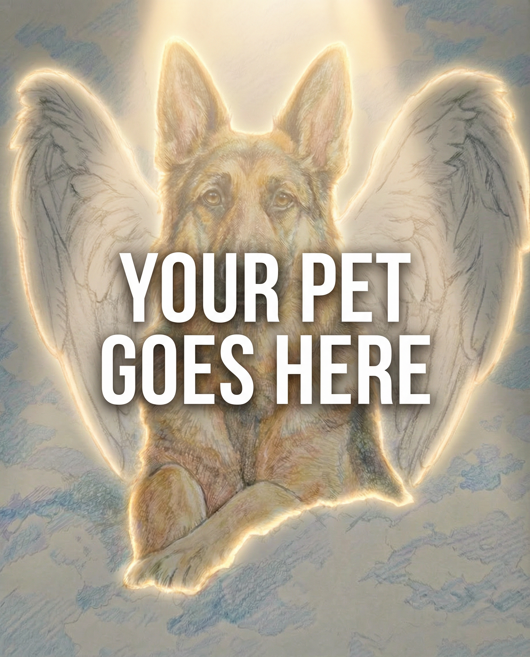 Your Pet Goes Here