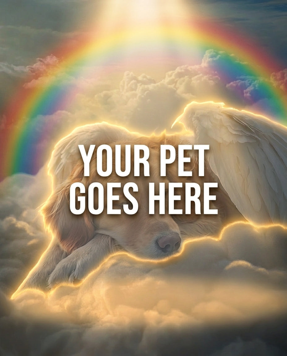 Your Pet Goes Here