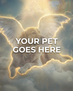 Your Pet Goes Here