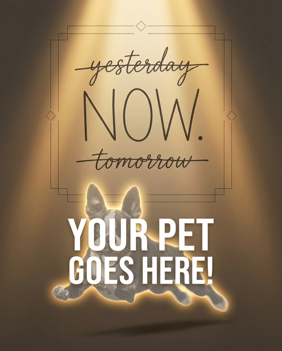 Your Pet Goes Here