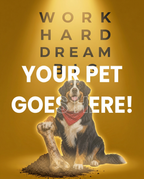 Your Pet Goes Here