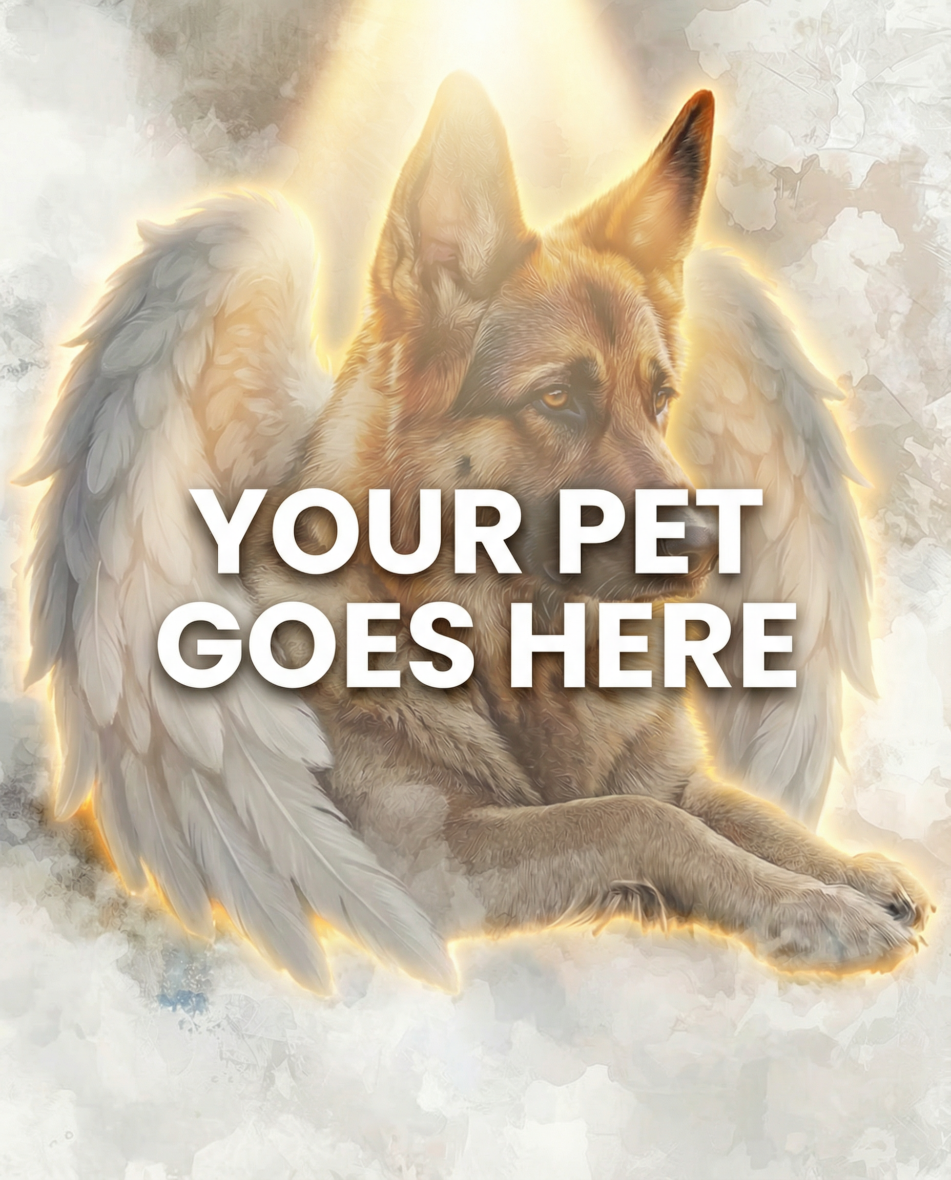 Your Pet Goes Here