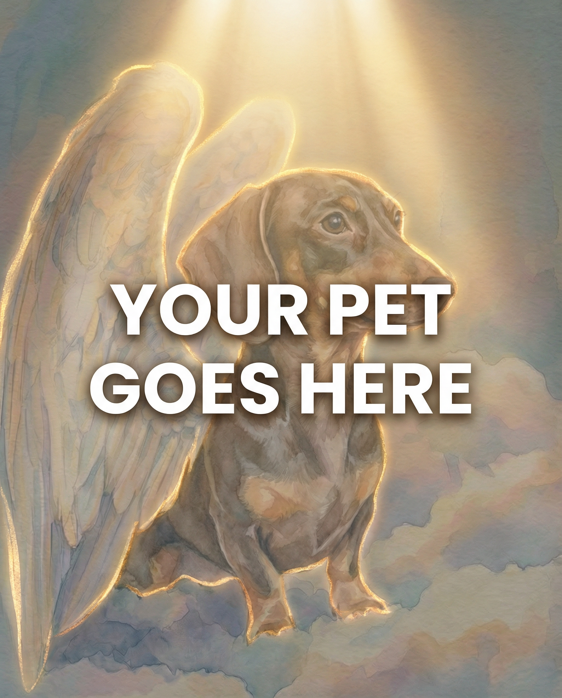 Your Pet Goes Here