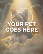 Your Pet Goes Here