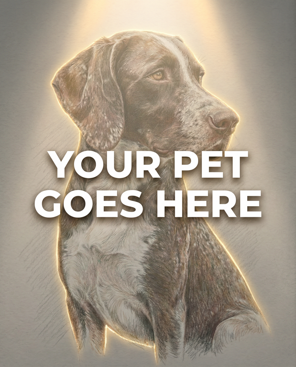 Your Pet Goes Here