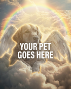 Your Pet Goes Here