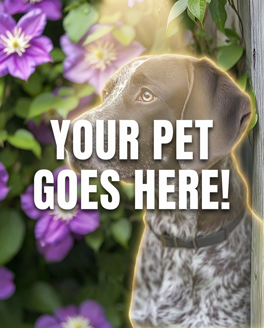 Your Pet Goes Here