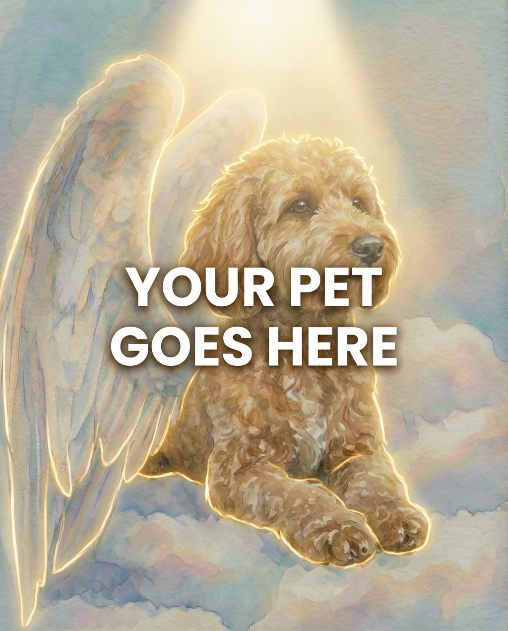 Your Pet Goes Here