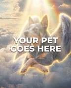 Your Pet Goes Here