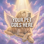 Your Pet Goes Here