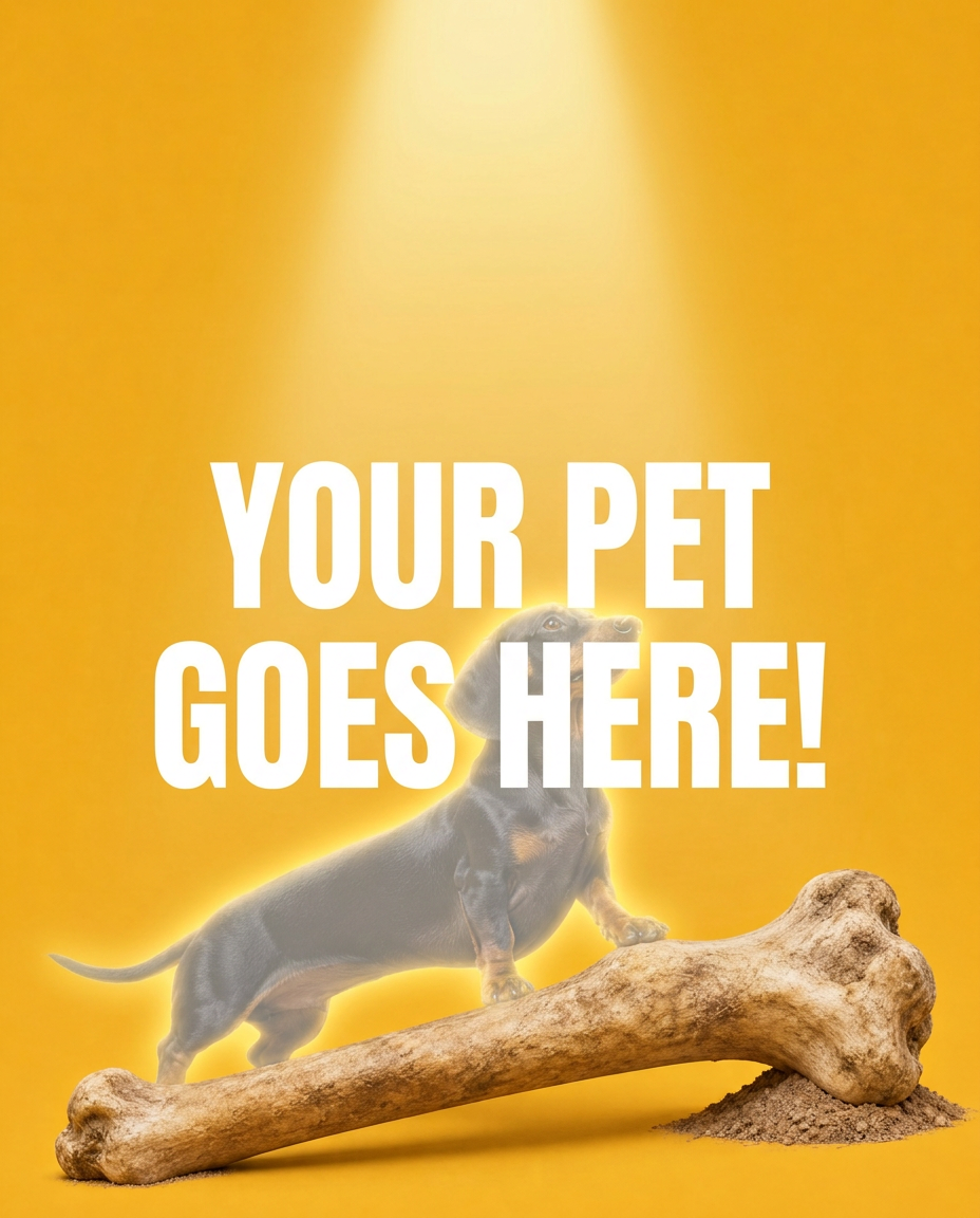 Your Pet Goes Here