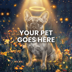 Your Pet Goes Here