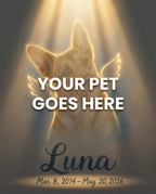 Your Pet Goes Here