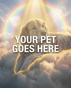 Your Pet Goes Here