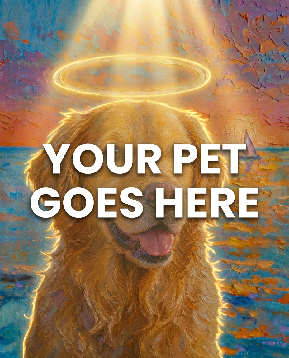 Your Pet Goes Here
