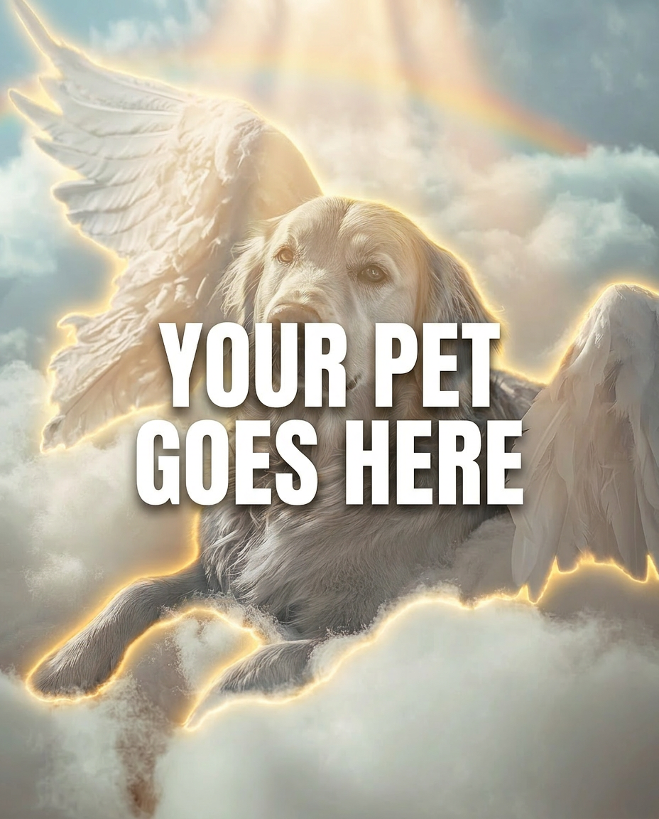 Your Pet Goes Here