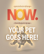 Your Pet Goes Here