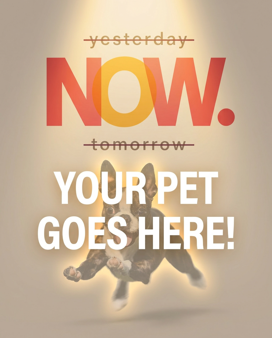 Your Pet Goes Here
