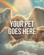 Your Pet Goes Here