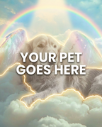 Your Pet Goes Here