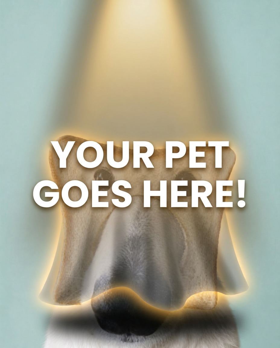 Your Pet Goes Here