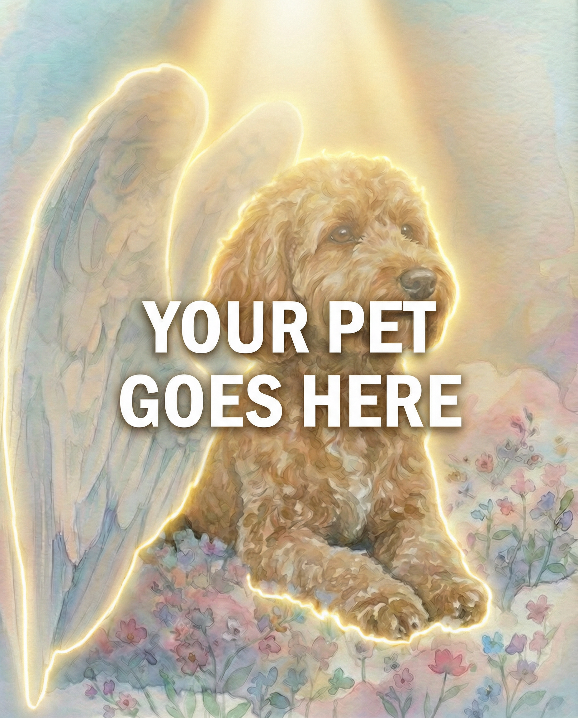 Your Pet Goes Here