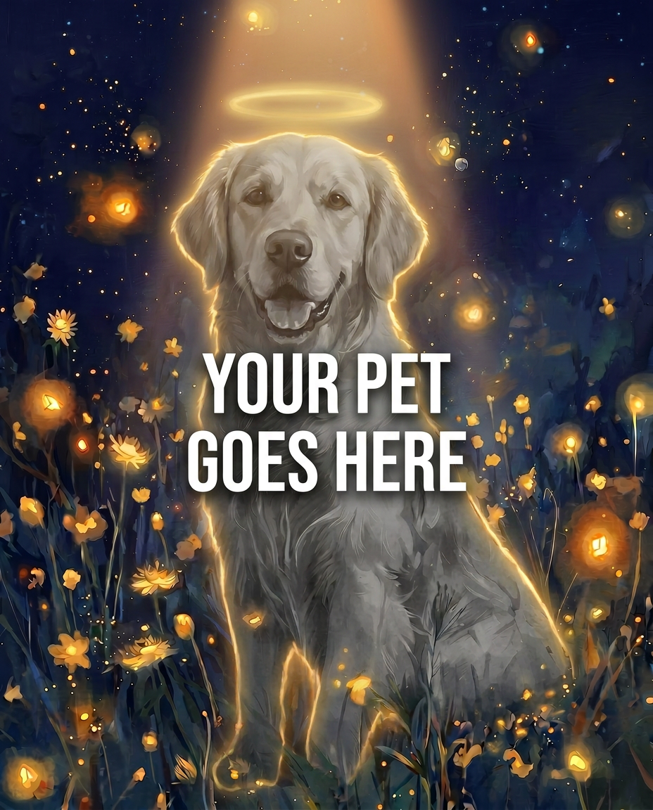 Your Pet Goes Here