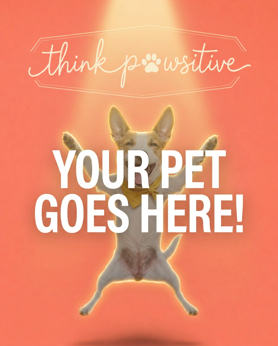 Your Pet Goes Here
