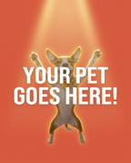 Your Pet Goes Here