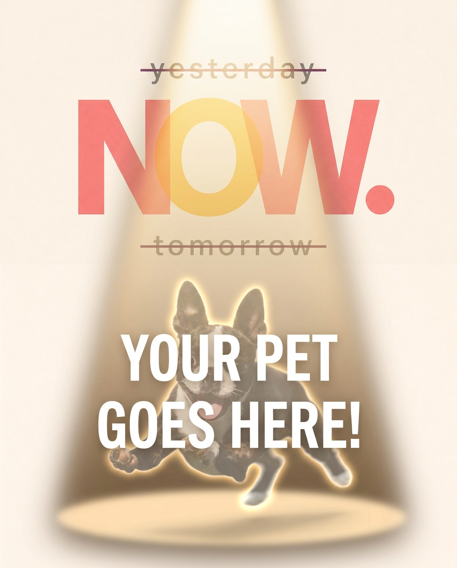 Your Pet Goes Here