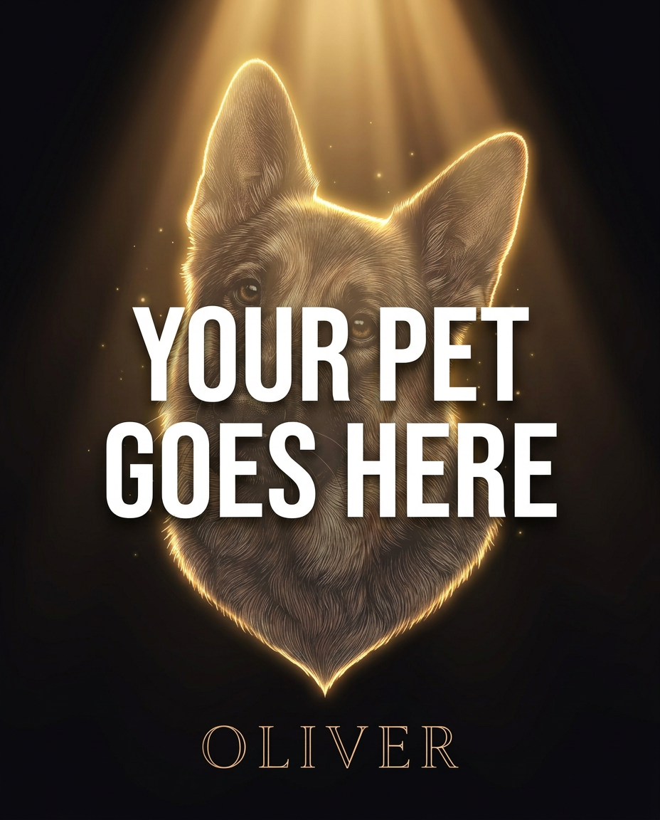 Your Pet Goes Here