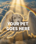 Your Pet Goes Here