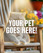 Your Pet Goes Here