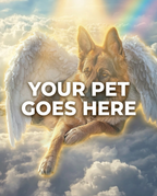 Your Pet Goes Here